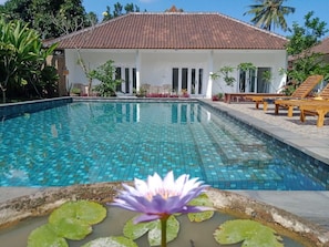 A swimming pool with a tiled surface, surrounded by a white building with a tiled roof, and a flower in the foreground. - Arta Garden Guest House & Hostel (Ubud)