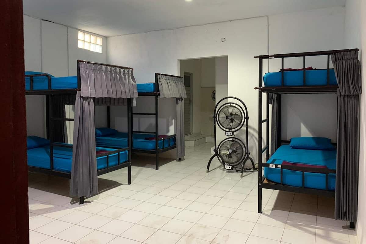 A dormitory room with bunk beds, a standing fan, and a door leading to another room.