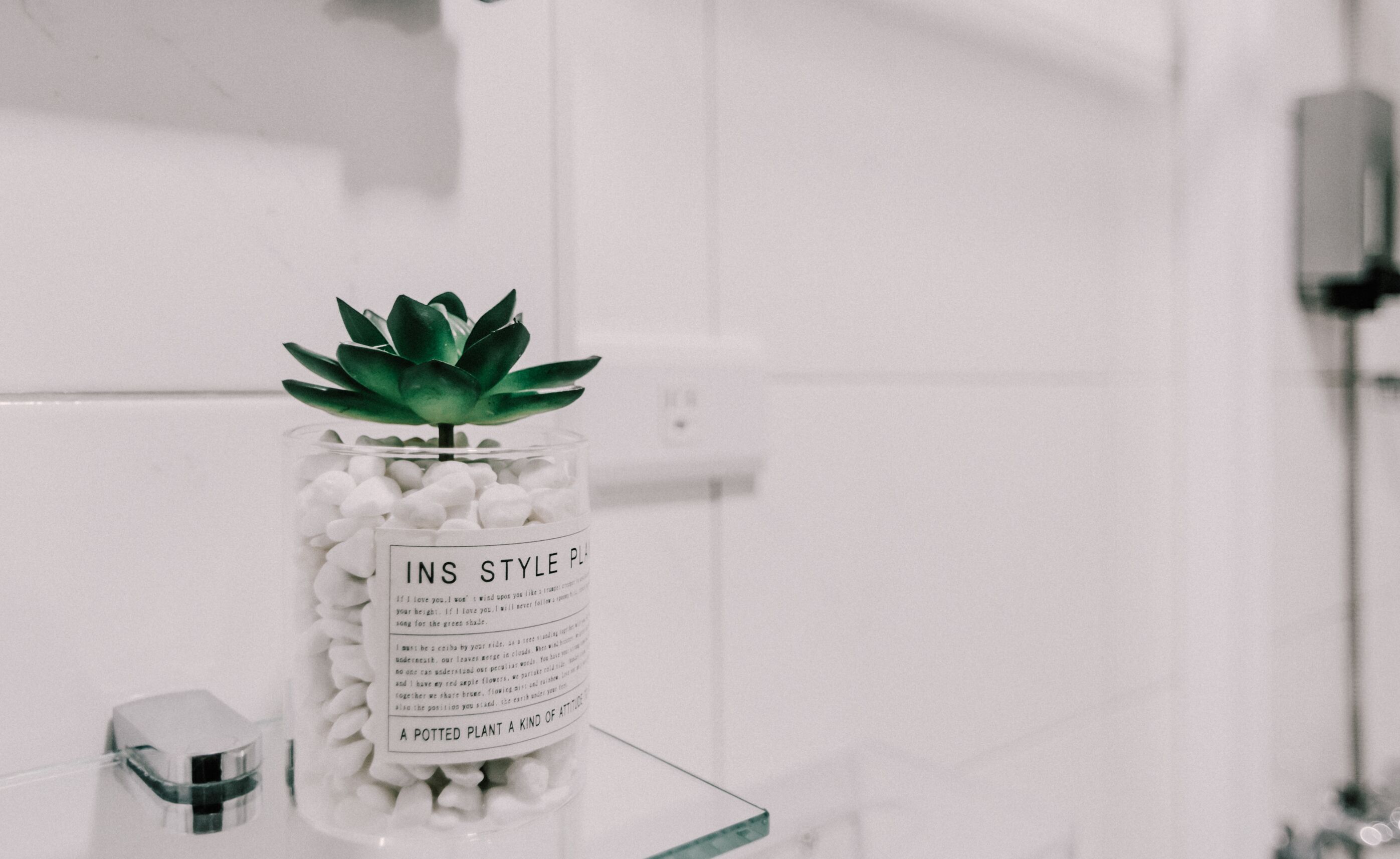 A potted succulent plant in a clear glass container with a label, placed on a white surface.