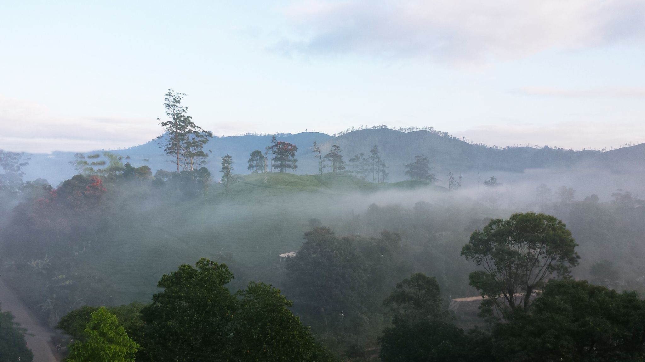 Photo - Lakshmis Hotel Ella