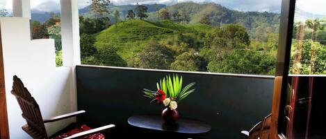 Uitzicht vanaf balkon