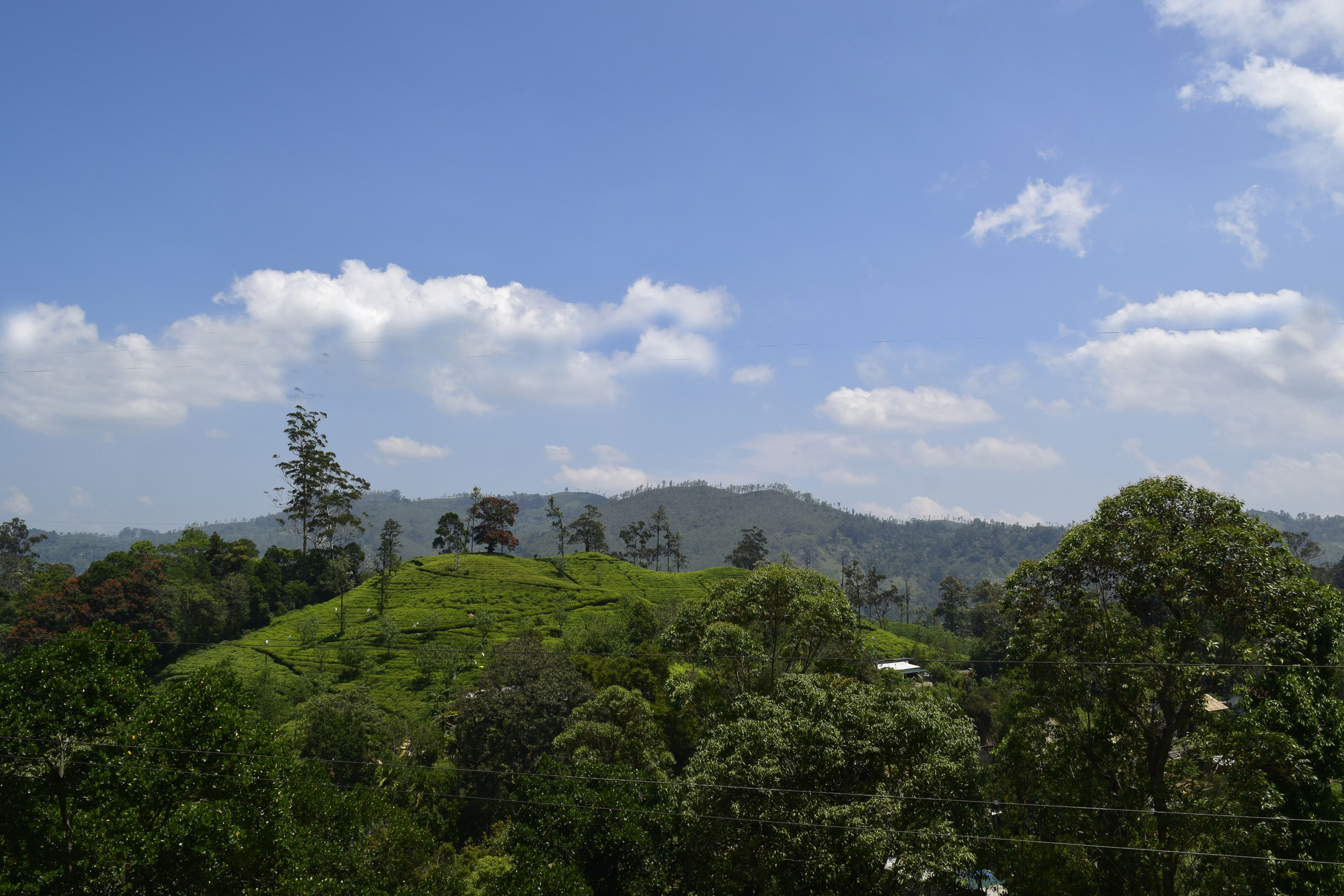 Photo - Lakshmis Hotel Ella