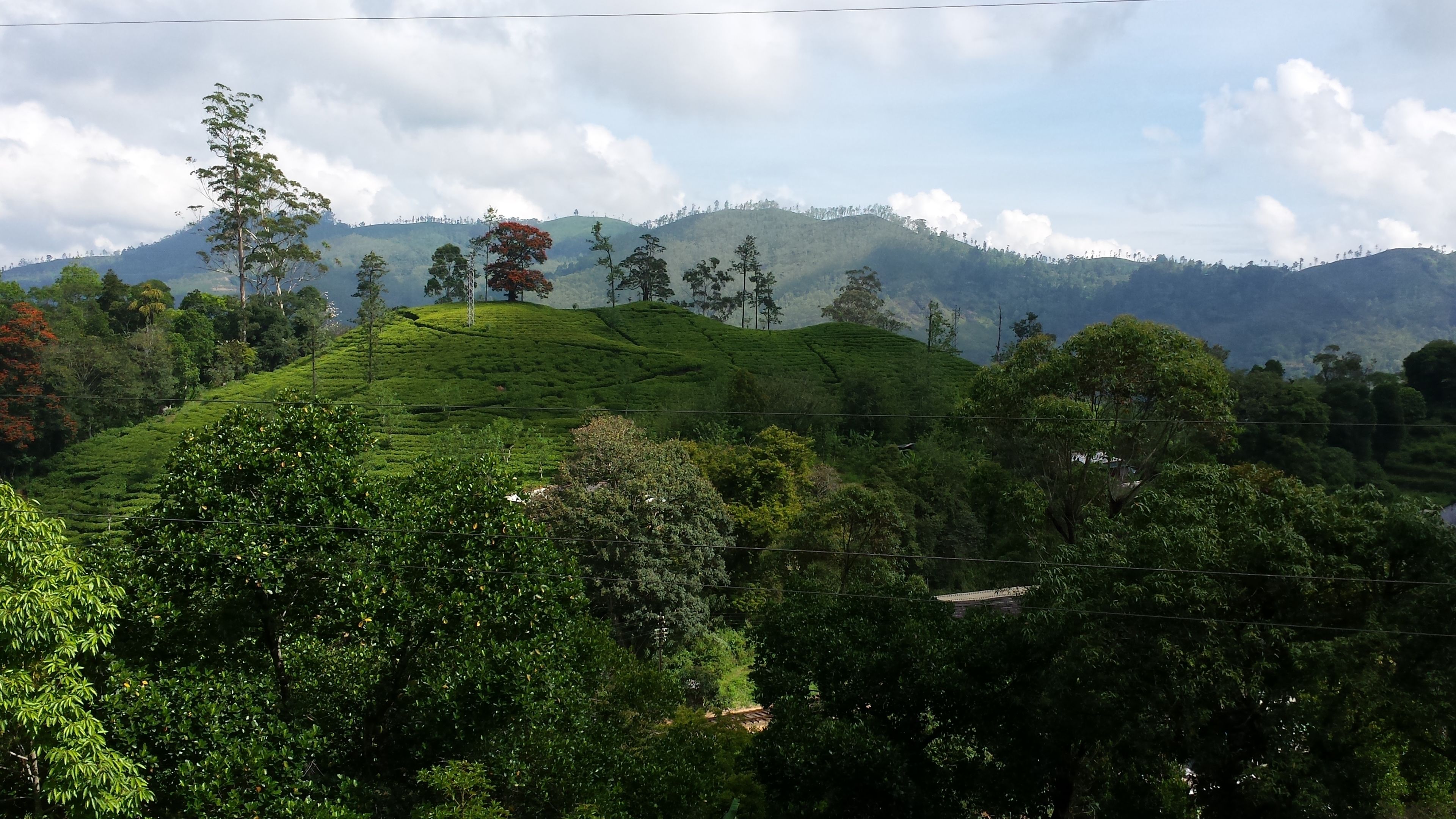 Photo - Lakshmis Hotel Ella