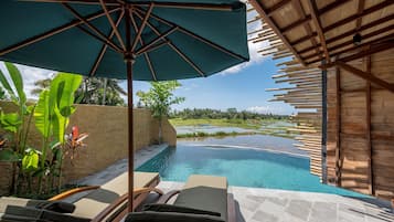 Villa with private pool | View from room