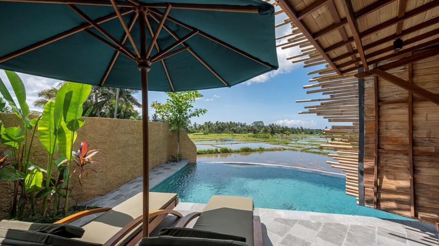 Beehouse Dijiwa Ubud