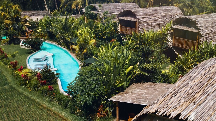 Beehouse Dijiwa Ubud