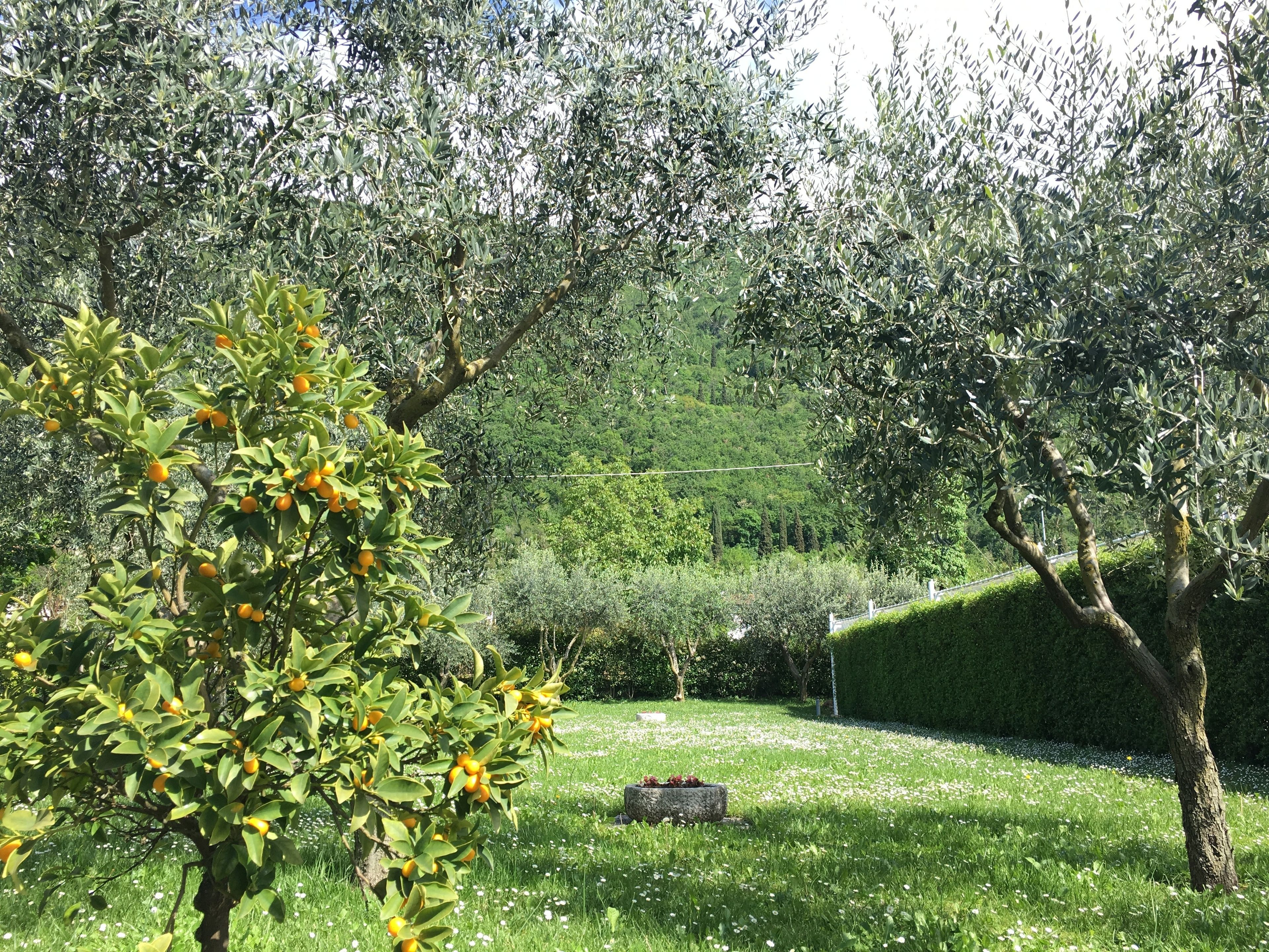Esterni