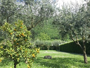 Exterior - Residence Gonda&Giuliano (Borso del Grappa)