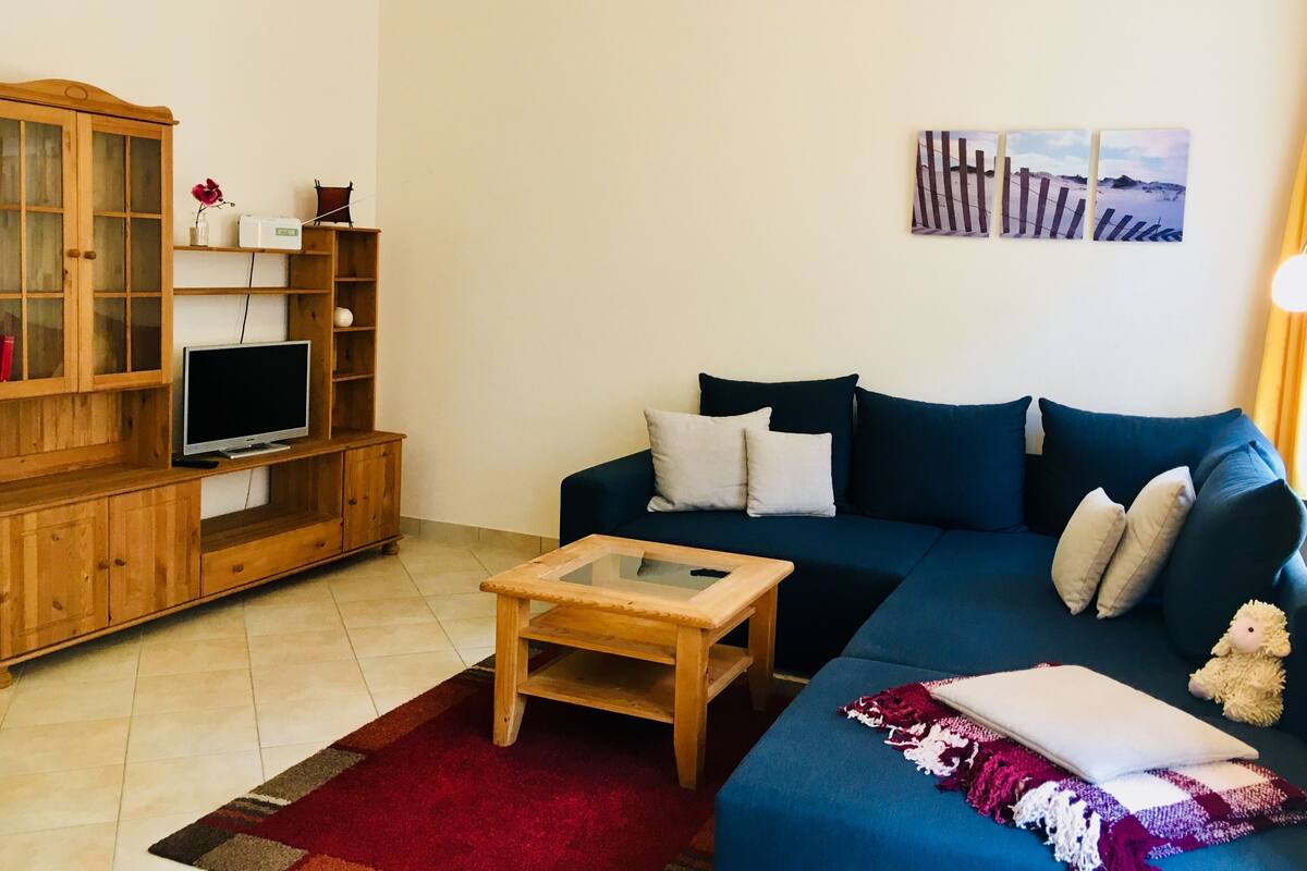 A living room with a blue sofa, a wooden TV stand, a glass coffee table, and a red rug.