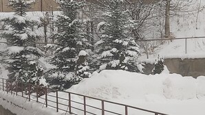 Un espacio exterior nevado con una valla metálica, árboles y un edificio al fondo.