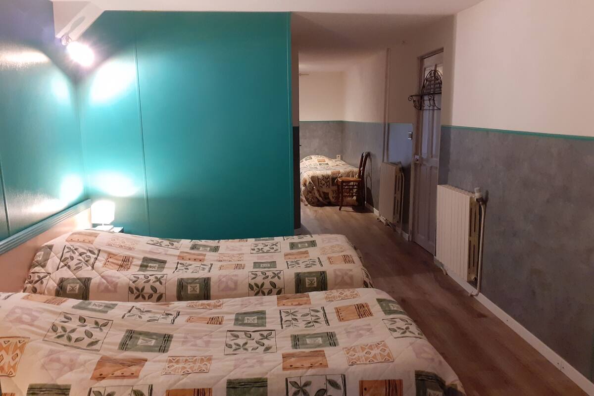 A bedroom with two beds, teal walls, a radiator, and a door leading to another room.