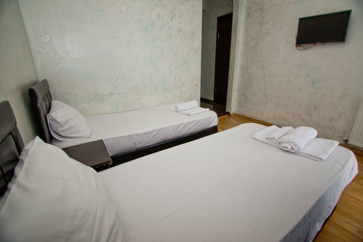 Quarto duplo, 2 camas de solteiro, sacada (204) | Ferros/tábuas de passar roupa, Wi-Fi de cortesia, roupa de cama