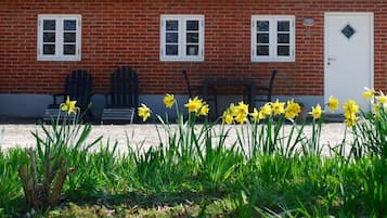 A brick building with two windows and a door, a gravel path, and yellow daffodils in the foreground.