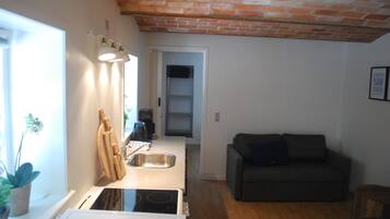 Una cocina compacta con lavamanos, estufa y encimera. En la zona de estar, hay un sofá de color oscuro y una mesita pequeña. Se ve una ventana con una planta, y el techo es de ladrillo.