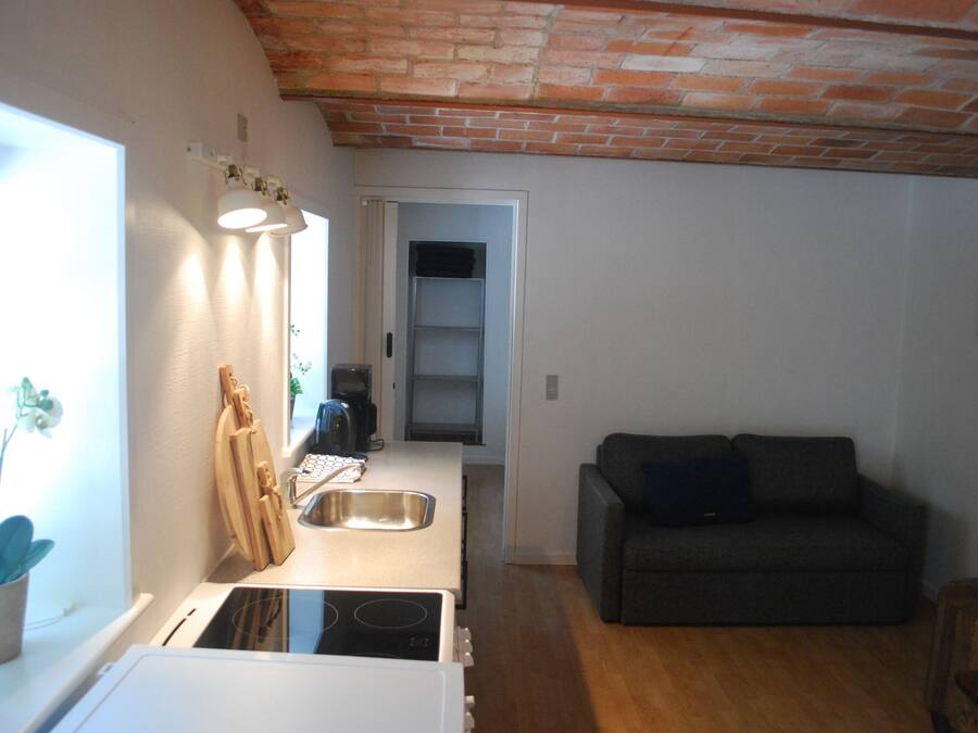 Una cocina compacta con lavamanos, estufa y encimera. En la zona de estar, hay un sofá de color oscuro y una mesita pequeña. Se ve una ventana con una planta, y el techo es de ladrillo.