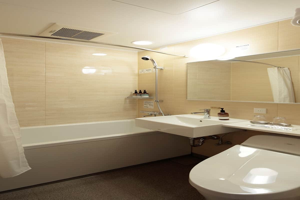 Combined shower/tub, hair dryer, slippers, electronic bidet