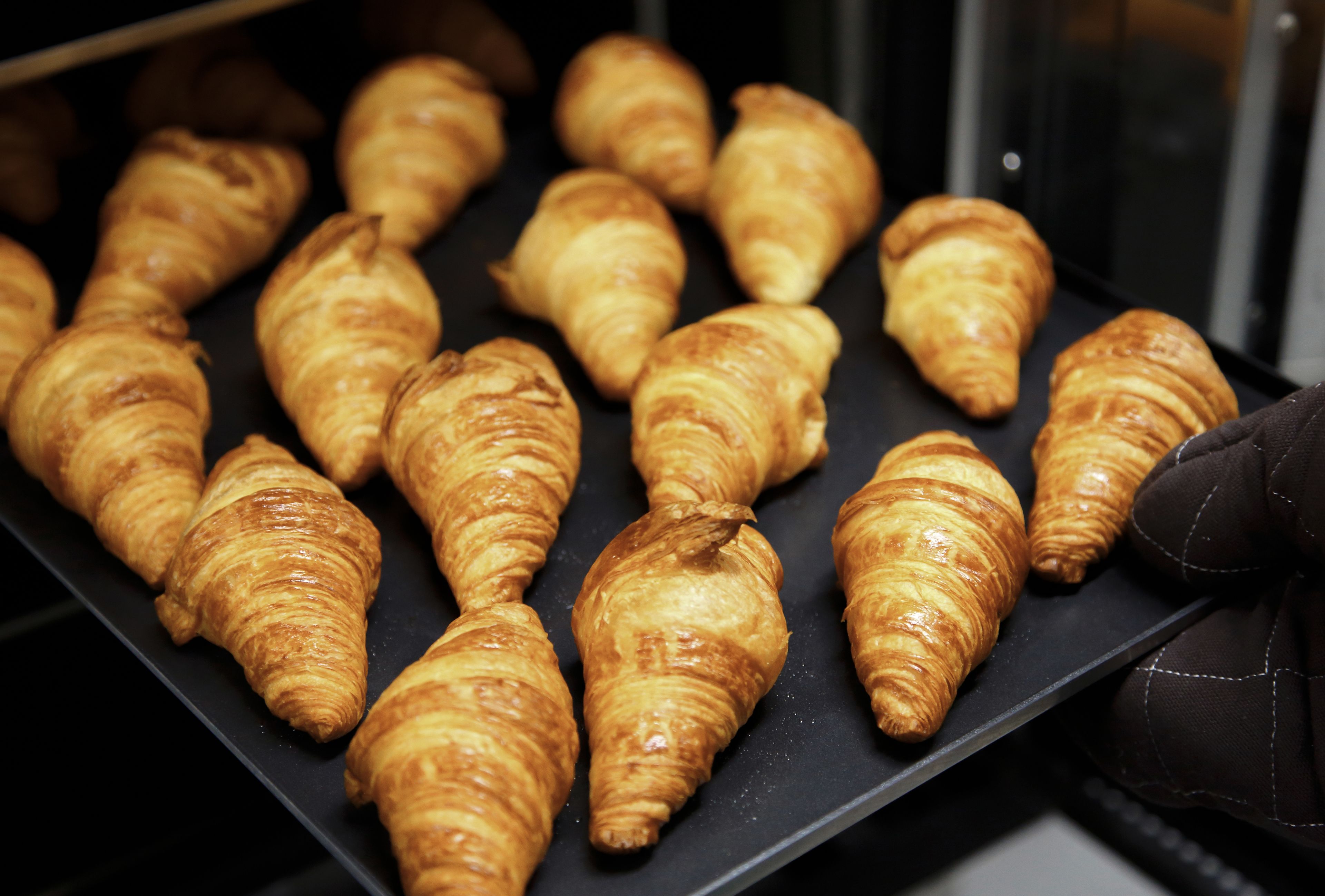 A tray of freshly baked croissants arranged on a black surface.