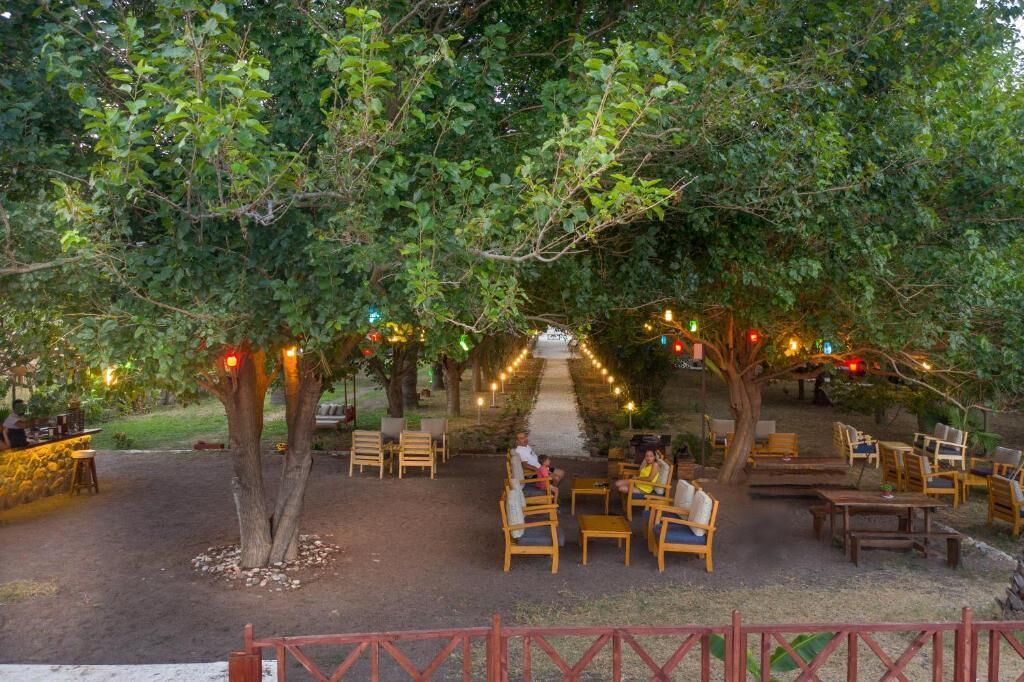An outdoor seating area with tables and chairs under trees, a pathway leading to a bar area, and string lights.
