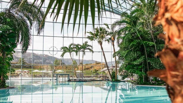 An indoor swimming pool with glass walls, surrounded by palm trees and a view of a mountainous landscape. - Hotel Adler Bärental (Feldberg)