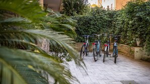 A paved courtyard with bicycles parked against a wall, surrounded by lush greenery. - Residenza Gregorio VII (Rome)
