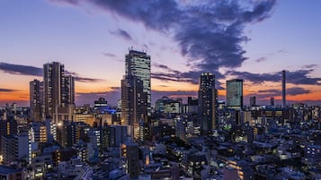 Habitación superior, no fumadores, vistas a la ciudad | Vistas desde la habitación