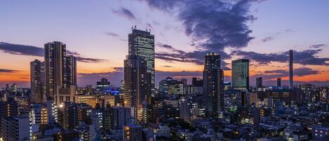 Paisagem urbana com edifícios altos, traçado urbano denso e céu ao pôr do sol.