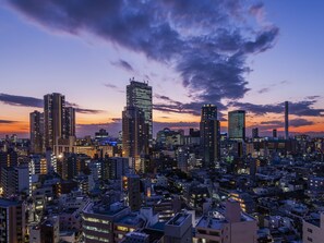Habitación superior, no fumadores, vistas a la ciudad | Vistas desde la habitación