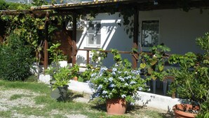 Una casa con una pérgola de madera, un ventanal y una maceta con flores azules.