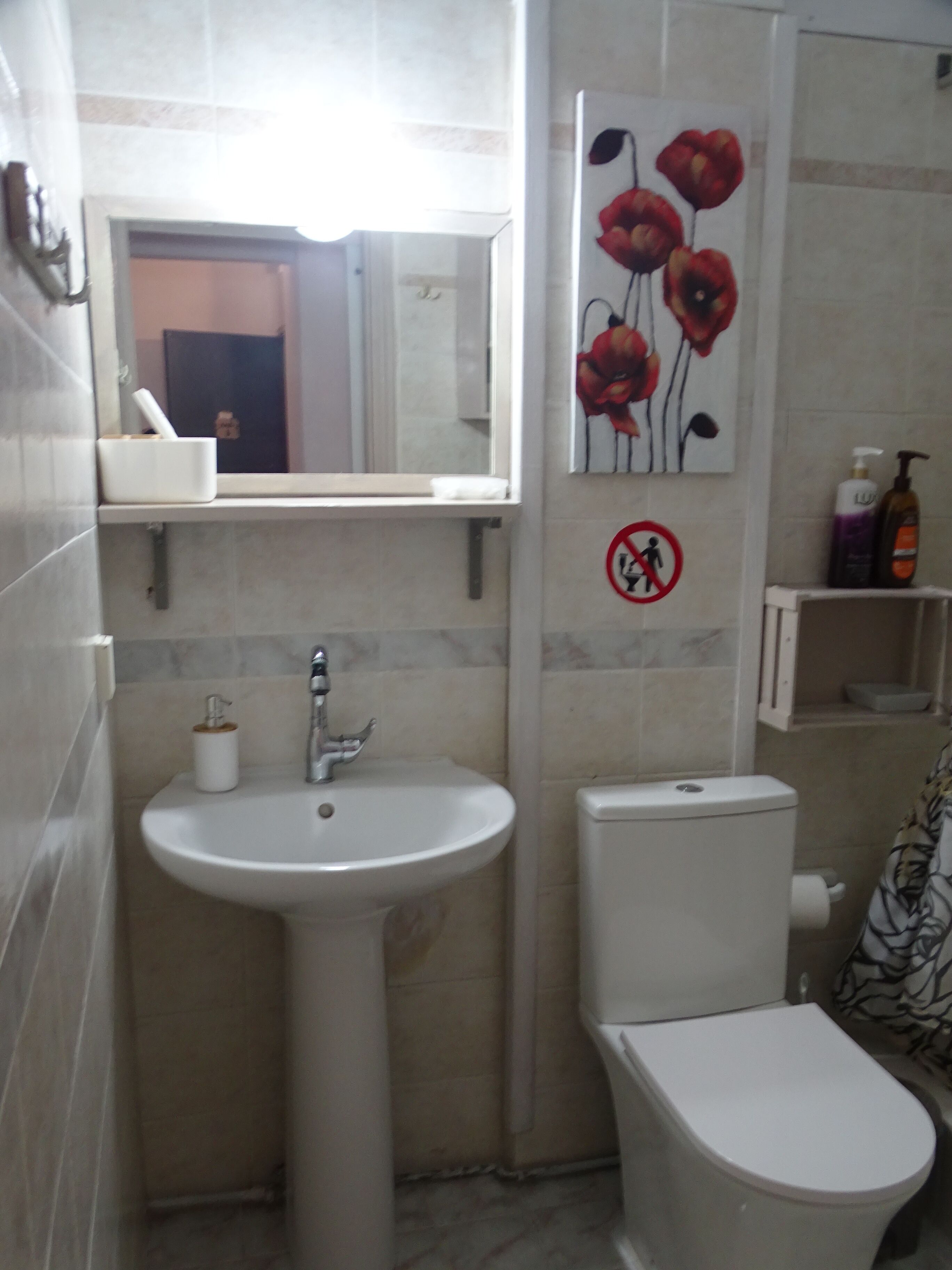 Un baño con lavamanos blanco, inodoro y espejo sobre el lavamanos. Hay una pintura de flores rojas en la pared y un letrero de prohibido fumar.