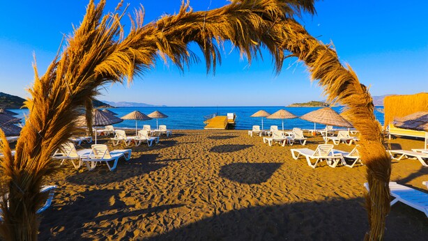 A beach with white lounge chairs and umbrellas, a palm tree arching over the sand, and a clear blue sky. -  Acroter Hotel & Spa Datca (Datça)