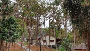 A cabin surrounded by tall trees and a small garden area. - Auberge Plain of Jars - Phouphadeng (Phonsavan)