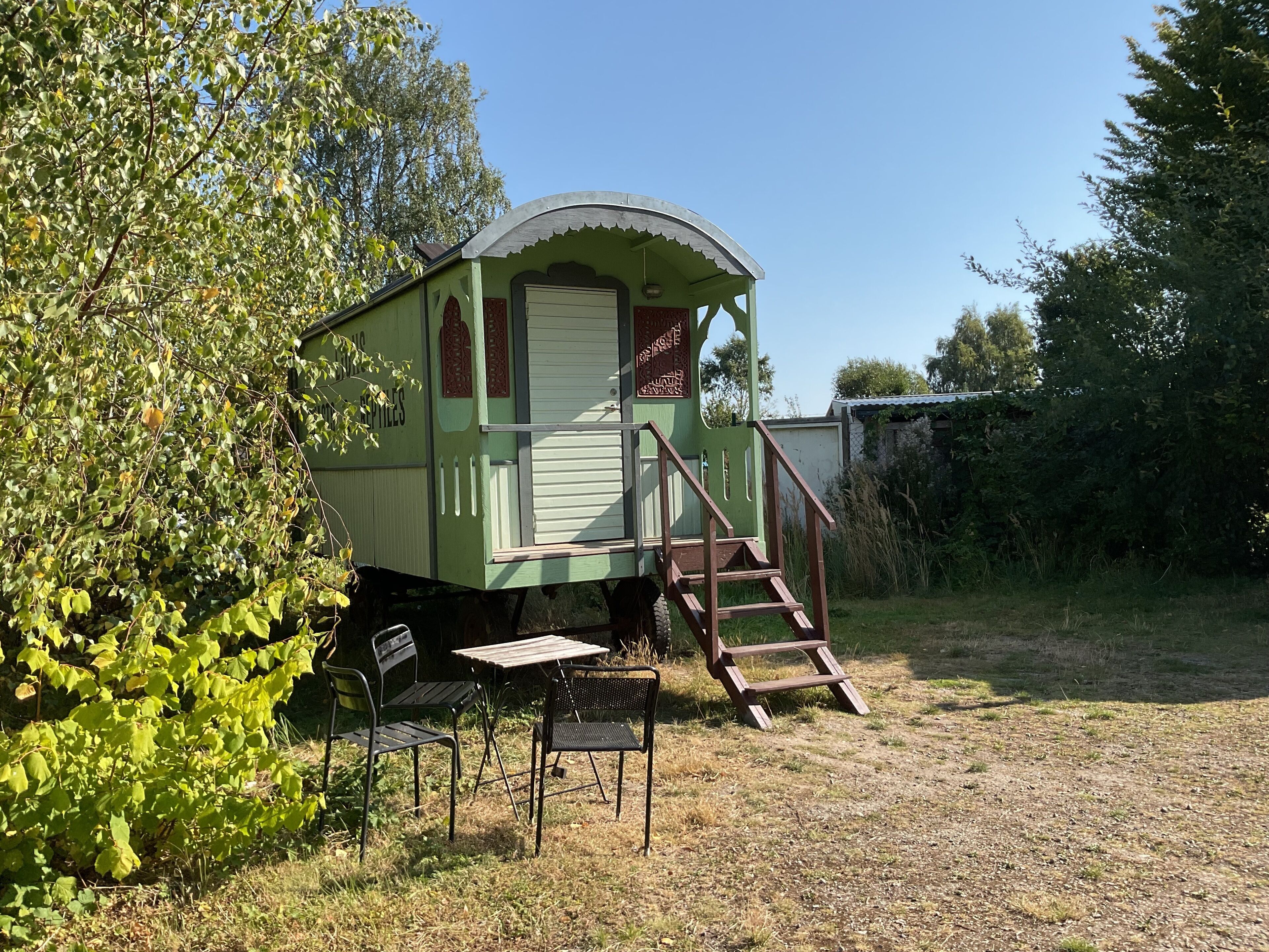 room (the lion tamer's) | individually decorated, blackout curtains, free wifi, bed sheets