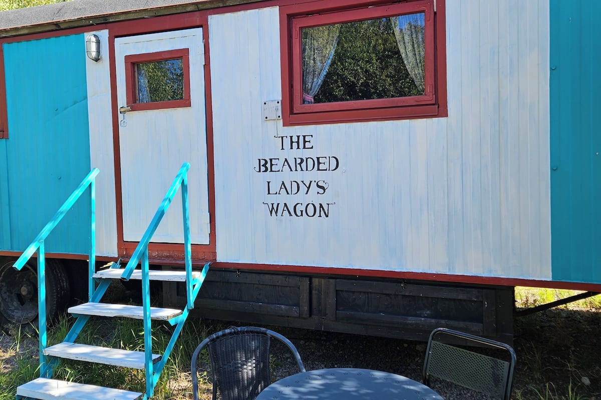 Room (The Bearded Lady's)
