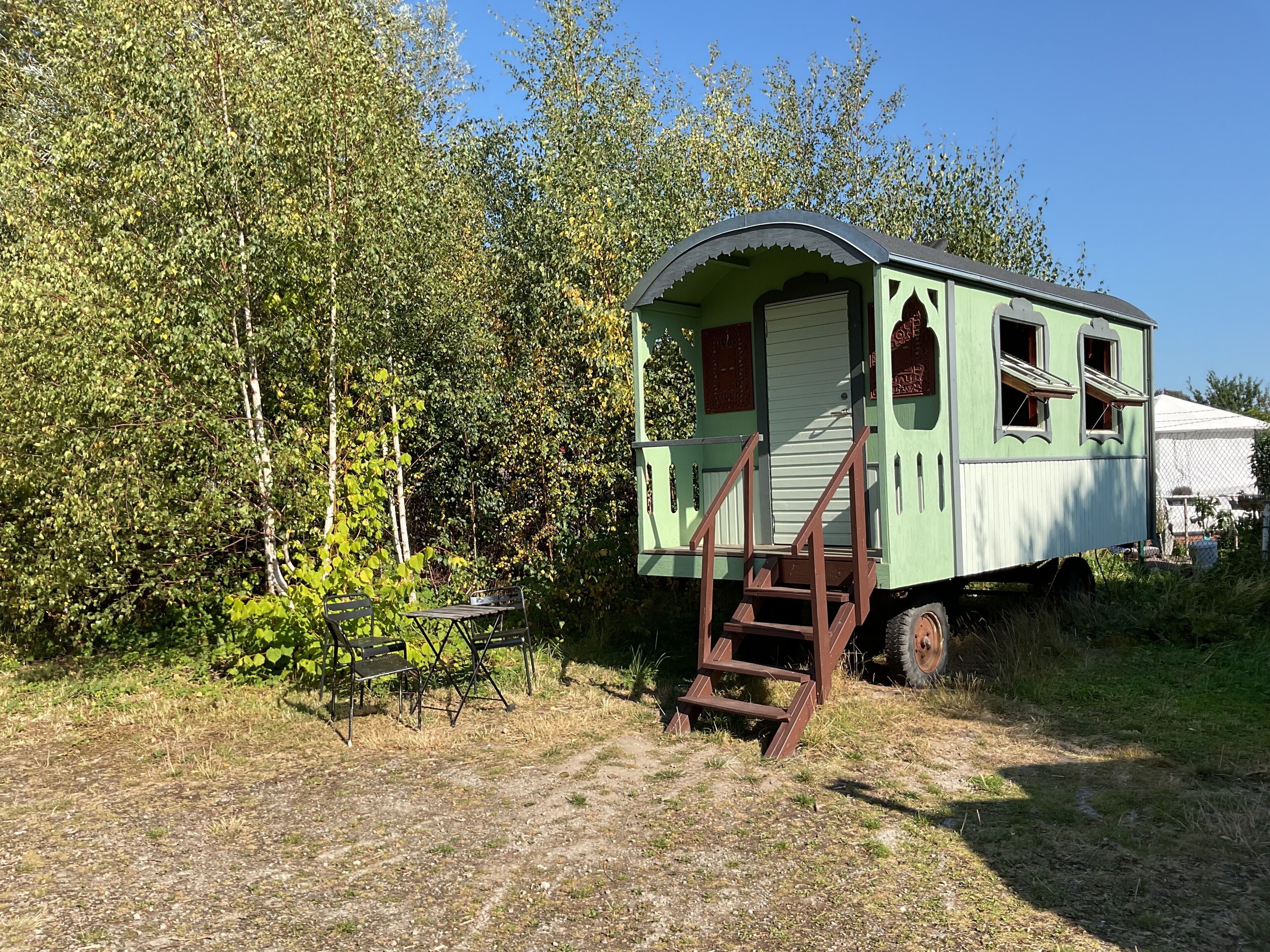 room (the lion tamer's) | individually decorated, blackout curtains, free wifi, bed sheets