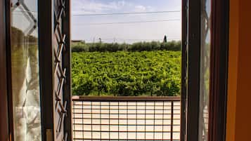 Vista al viñedo
