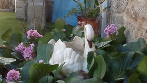 Jardí amb una estàtua d'un cigne blanc envoltat de vegetació verda i flors roses. Hi ha plantes en testos sobre una paret blava i una bassa de pedra per a ocells.