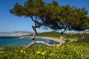 Beach nearby, sun loungers, beach umbrellas, 3 beach bars