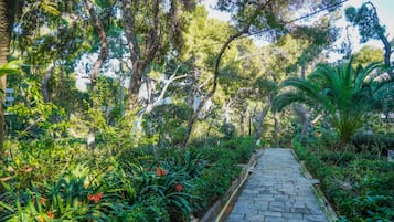 Jardin