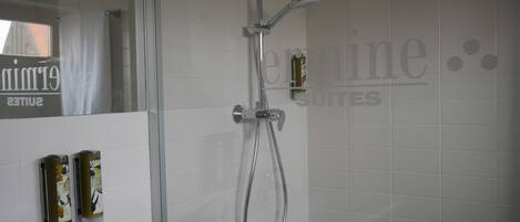 A modern bathroom with a shower, a sink, and a mirror.