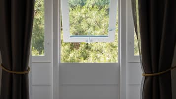 Deluxe Double Room | View from room