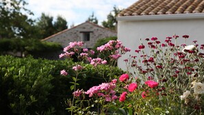 Ein Garten mit rosa und weißen Blumen vor einem Gebäude mit einem Ziegeldach.