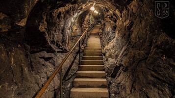 A stone staircase leading into a dimly lit tunnel with metal railings and a crown emblem on the wall.