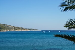 Plage à proximité, chaise longue, parasol, 3 bars sur la plage