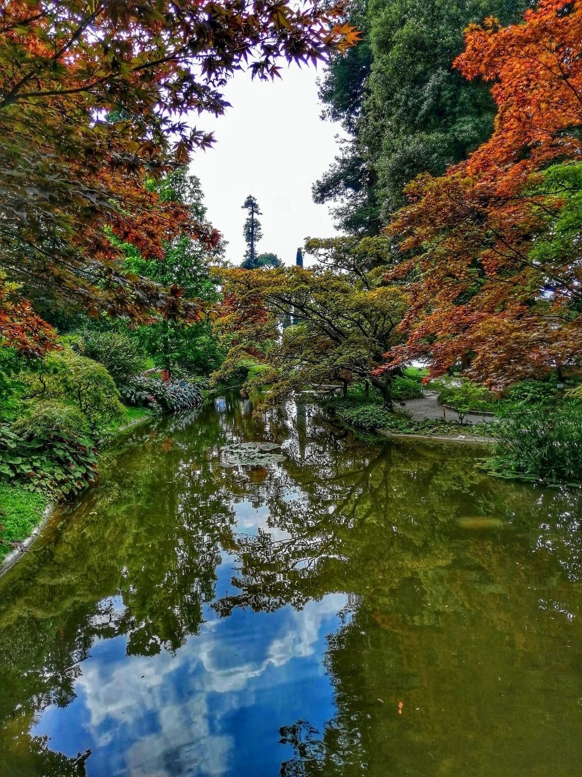 A serene garden with a pond reflecting trees and a traditional Japanese torii gate in the background.