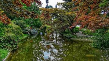 A serene garden with a pond reflecting trees and a traditional Japanese torii gate in the background.