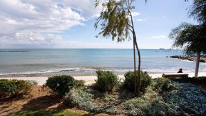 Une vue sur la plage avec un banc et un arbre au premier plan.