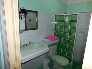 A bathroom with a sink, toilet, and green-tiled shower enclosure. - Casa Colonial 1850 Tito y Yiya (Viñales)