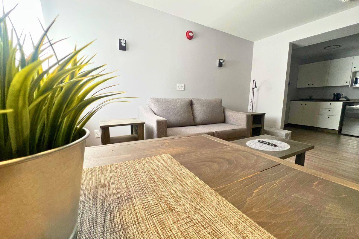 A modern living room with a sofa, coffee table, and a potted plant.
