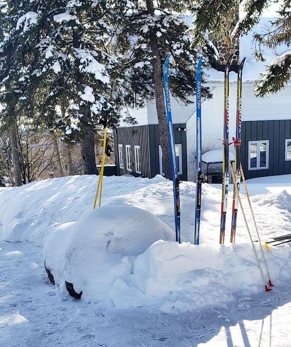 Skifahren