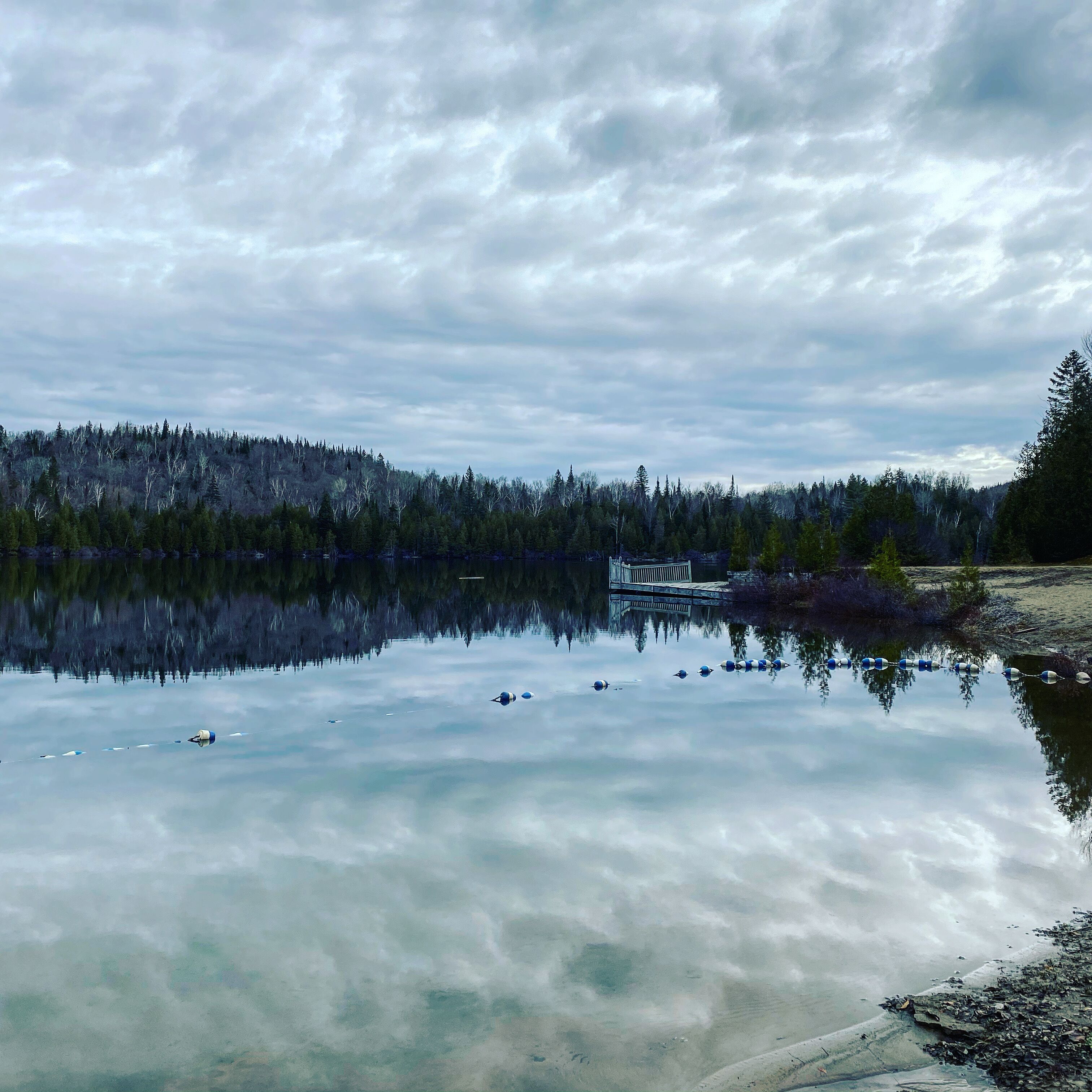 A calm lake with a wooden dock extending into the water, surrounded by dense forest.